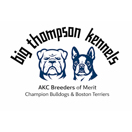 bt kennels logo 3