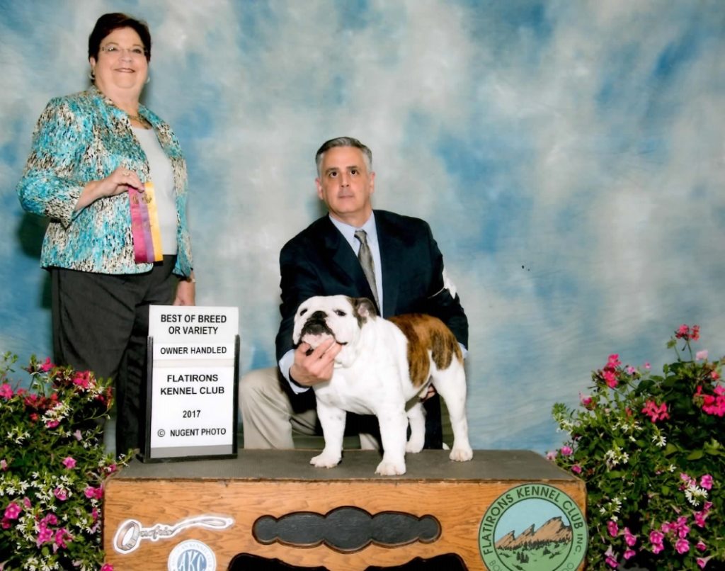 Ruger, Big Thompson Bulldog at a 2017 Best of Breed show
