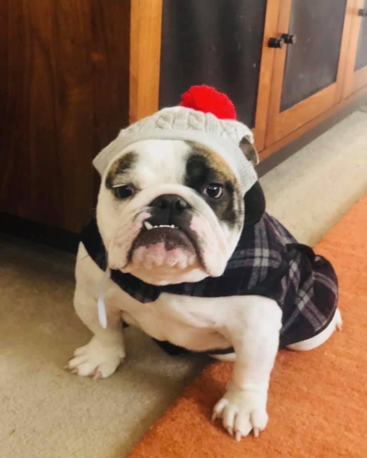 Eldon, Big Thompson Bulldog