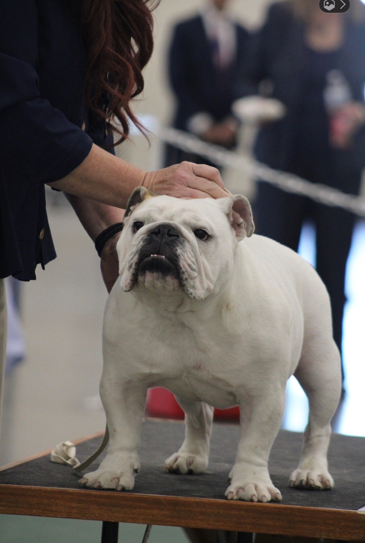 Everest, Big Thompson Bulldog